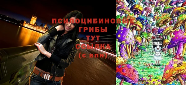 мяу мяу кристалл Дмитров