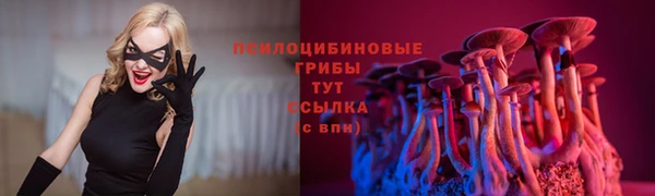a pvp Дмитриев