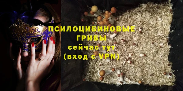 амф Дмитровск