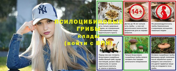 мяу мяу кристалл Дмитров