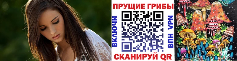 Галлюциногенные грибы Psilocybe  Купить где  Покров 